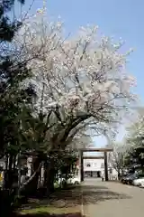 豊平神社(北海道)