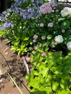 西新井大師総持寺(東京都)