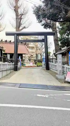 高円寺氷川神社の鳥居