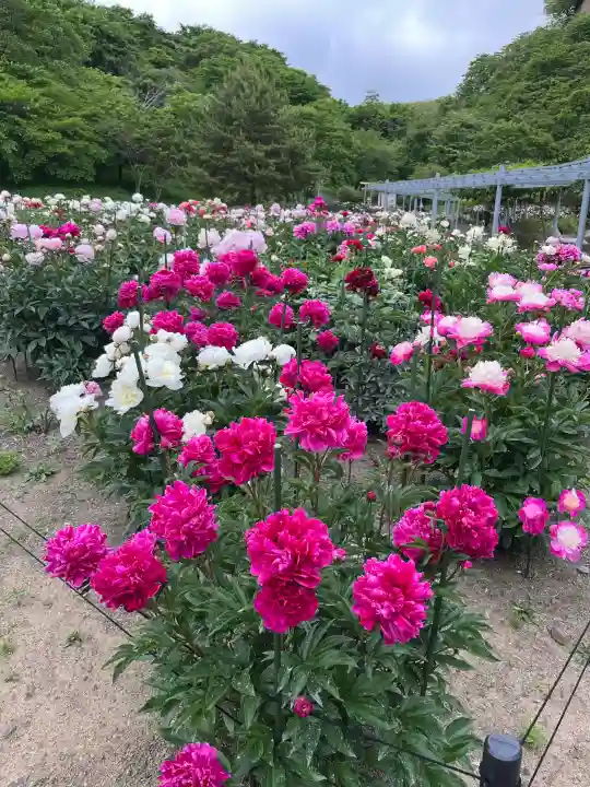 金蛇水神社(宮城県)