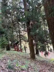 大宮温泉神社(栃木県)(2023年11月01日(水) 08時12分51秒投稿)