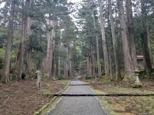 平泉寺白山神社の{uncategorized: "未分類", other: "その他", undefined: "問題あり", building: "その他建物", grave: "お墓", sacred_gate: "鳥居", guardian: "狛犬", statue: "像", buddha: "仏像", history: "歴史", nature: "自然", garden: "庭園", animal: "動物", pagoda: "塔", temizu: "手水舎", mountain_gate: "山門・神門", sanctuary: "本殿・本堂", subordinate: "末社・摂社", art: "芸術", scenery: "景色", jizo: "地蔵", ema: "絵馬", goshuin: "御朱印", omikuji: "おみくじ", items: "授与品その他", amulet: "お守り", goshuincho: "御朱印帳", eats: "食事", festival: "お祭り", votive_dance: "神楽", shichigosan: "七五三参", wedding: "結婚式", experience: "体験その他", initially: "初詣", around: "周辺", anti_infection: "感染症対策"}