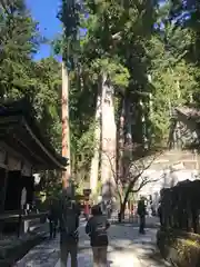 日光二荒山神社の自然