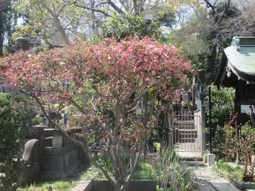 宗隆寺(神奈川県)