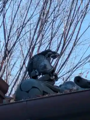 川越熊野神社の{uncategorized: "未分類", other: "その他", undefined: "問題あり", building: "その他建物", grave: "お墓", sacred_gate: "鳥居", guardian: "狛犬", statue: "像", buddha: "仏像", history: "歴史", nature: "自然", garden: "庭園", animal: "動物", pagoda: "塔", temizu: "手水舎", mountain_gate: "山門・神門", sanctuary: "本殿・本堂", subordinate: "末社・摂社", art: "芸術", scenery: "景色", jizo: "地蔵", ema: "絵馬", goshuin: "御朱印", omikuji: "おみくじ", items: "授与品その他", amulet: "お守り", goshuincho: "御朱印帳", eats: "食事", festival: "お祭り", votive_dance: "神楽", shichigosan: "七五三参", wedding: "結婚式", experience: "体験その他", initially: "初詣", around: "周辺", anti_infection: "感染症対策"}