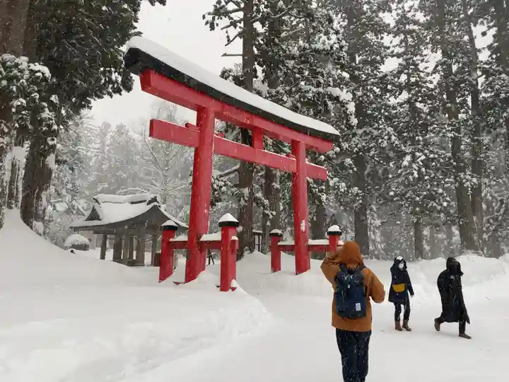 出羽神社(出羽三山神社)~三神合祭殿~の鳥居