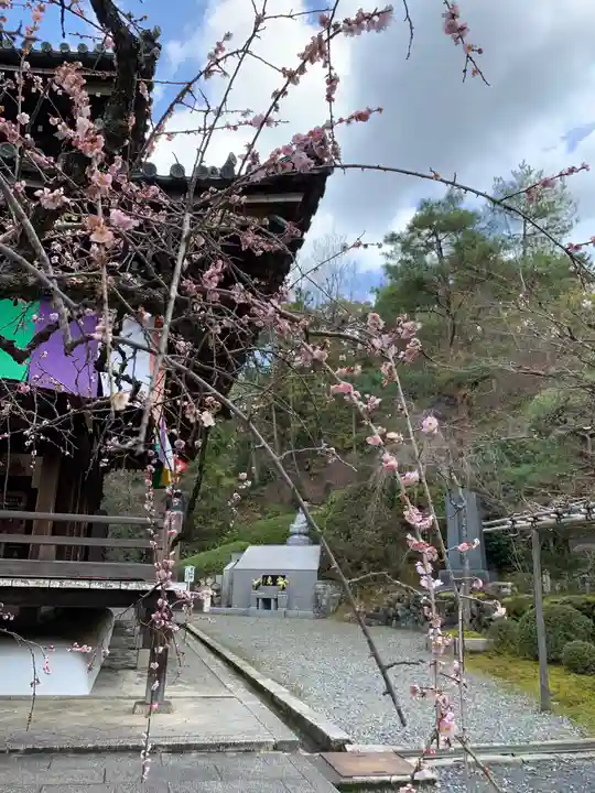 今熊野観音寺のその他建物