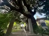 城願寺(神奈川県)