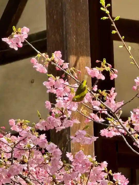 意賀美神社(大阪府)