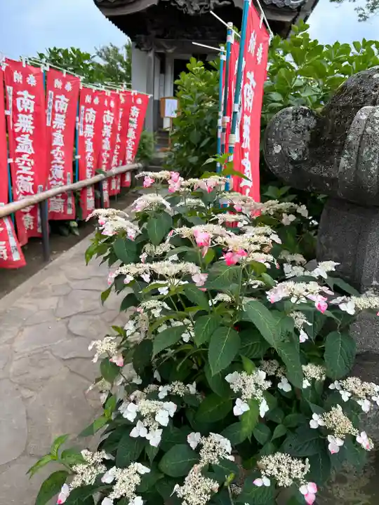 能護寺(埼玉県)