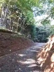 幸神社の自然