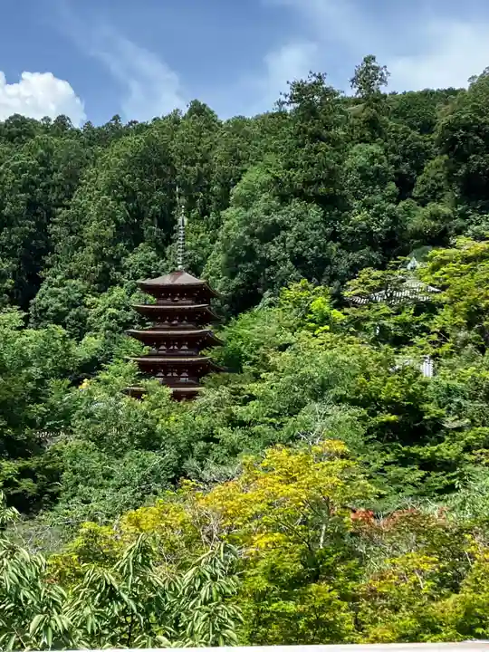 長谷寺(奈良県)