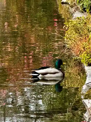 神泉苑(京都府)