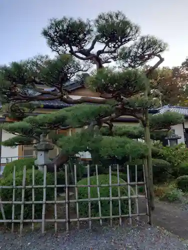 圓満寺(福島県)