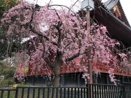 清水観音堂の庭園