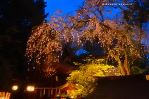 子安神社(東京都)