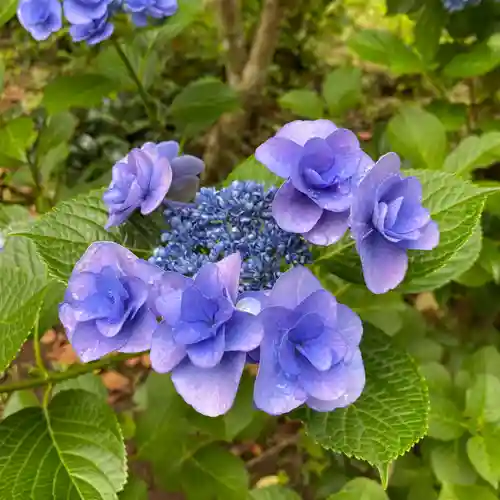 大宝八幡宮(茨城県)