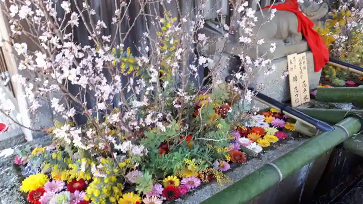 北野天満宮の手水舎