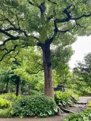 駒止稲荷神社(東京都)