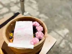 札幌諏訪神社のおみくじ(2022年05月09日(月) 11時18分13秒投稿)