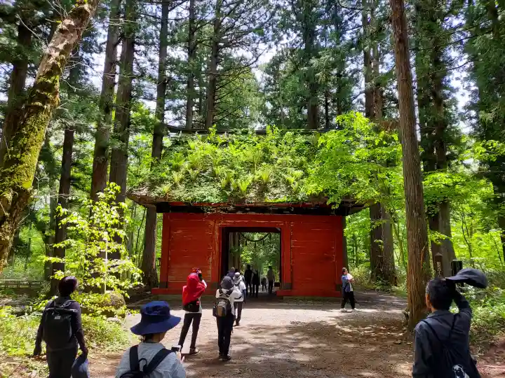 戸隠神社奥社の{uncategorized: "未分類", other: "その他", undefined: "問題あり", building: "その他建物", grave: "お墓", sacred_gate: "鳥居", guardian: "狛犬", statue: "像", buddha: "仏像", history: "歴史", nature: "自然", garden: "庭園", animal: "動物", pagoda: "塔", temizu: "手水舎", mountain_gate: "山門・神門", sanctuary: "本殿・本堂", subordinate: "末社・摂社", art: "芸術", scenery: "景色", jizo: "地蔵", ema: "絵馬", goshuin: "御朱印", omikuji: "おみくじ", items: "授与品その他", amulet: "お守り", goshuincho: "御朱印帳", eats: "食事", festival: "お祭り", votive_dance: "神楽", shichigosan: "七五三参", wedding: "結婚式", experience: "体験その他", initially: "初詣", around: "周辺", anti_infection: "感染症対策"}