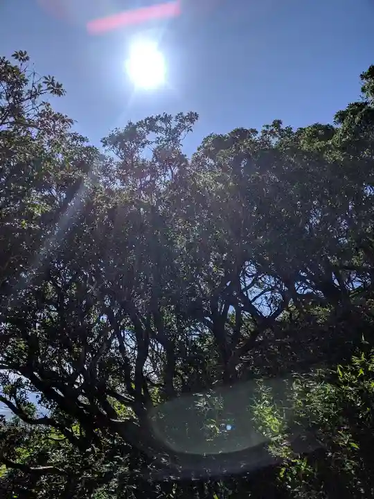 椿大神社(三重県)
