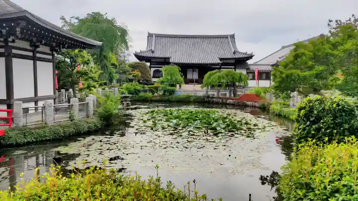 圓照寺(埼玉県)