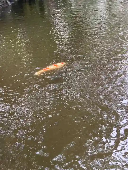 平塚八幡宮(神奈川県)