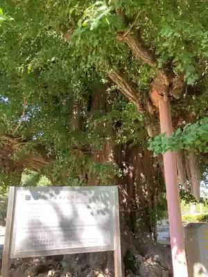 千葉寺(千葉県)