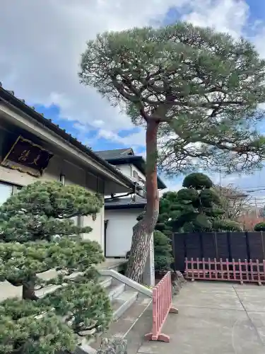 大法寺(東京都)