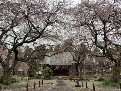 妙宣寺(千葉県)
