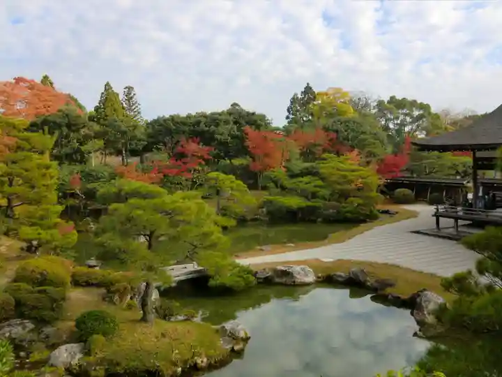仁和寺(京都府)
