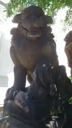 黒船神社の狛犬