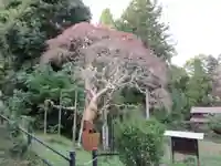 幸神神社(東京都)