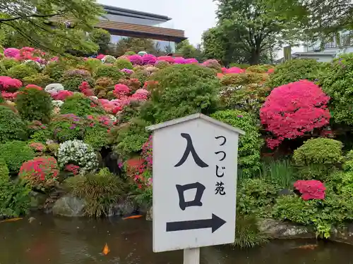 根津神社の庭園