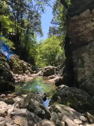 元伊勢天岩戸神社の自然