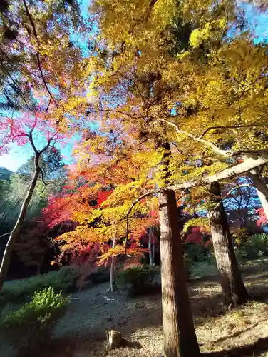 毘沙門堂門跡(京都府)