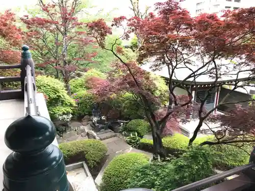 金剛寺の自然