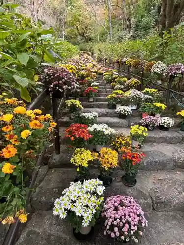 長谷寺(奈良県)