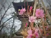 彌彦神社 (伊夜日子神社)の自然