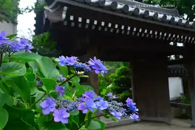 弘明寺(神奈川県)