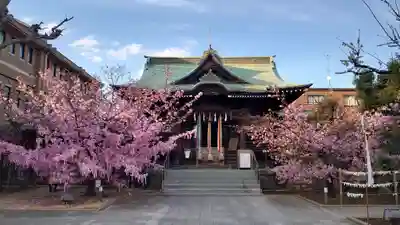 桜神宮の本殿・本堂