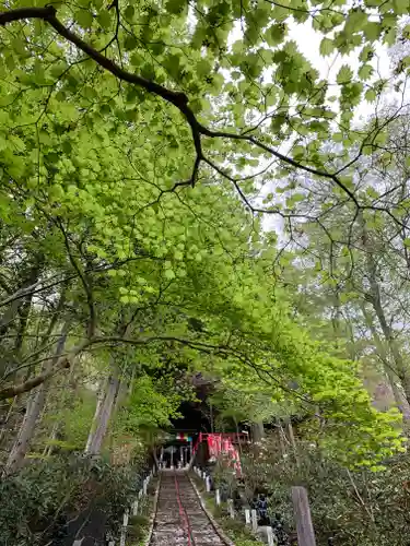 徳善院明王密寺のその他建物