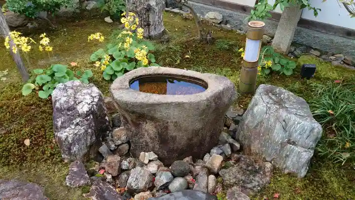 高台寺(高台寿聖禅寺・高臺寺)の{uncategorized: "未分類", other: "その他", undefined: "問題あり", building: "その他建物", grave: "お墓", sacred_gate: "鳥居", guardian: "狛犬", statue: "像", buddha: "仏像", history: "歴史", nature: "自然", garden: "庭園", animal: "動物", pagoda: "塔", temizu: "手水舎", mountain_gate: "山門・神門", sanctuary: "本殿・本堂", subordinate: "末社・摂社", art: "芸術", scenery: "景色", jizo: "地蔵", ema: "絵馬", goshuin: "御朱印", omikuji: "おみくじ", items: "授与品その他", amulet: "お守り", goshuincho: "御朱印帳", eats: "食事", festival: "お祭り", votive_dance: "神楽", shichigosan: "七五三参", wedding: "結婚式", experience: "体験その他", initially: "初詣", around: "周辺", anti_infection: "感染症対策"}