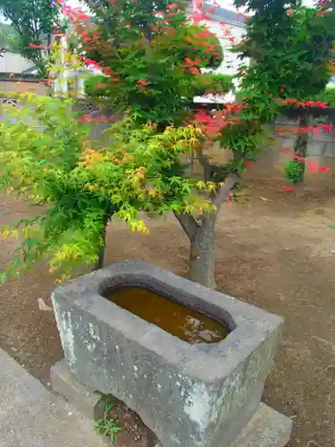 高久蕎高神社の手水