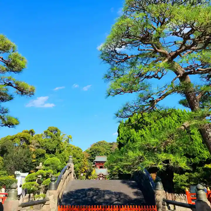 鶴岡八幡宮の景色