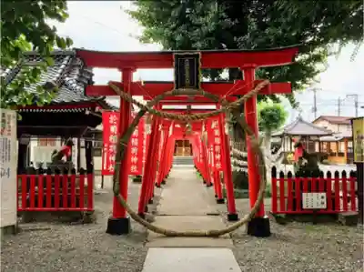 於菊稲荷神社の鳥居