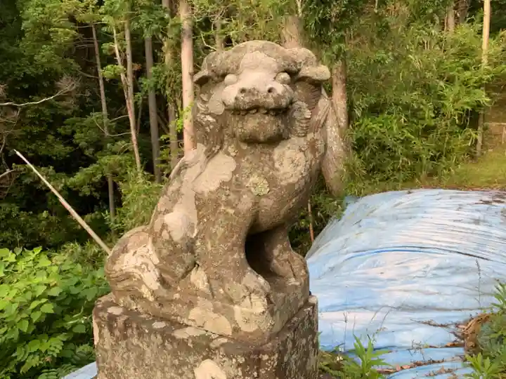 天御中主神社の狛犬