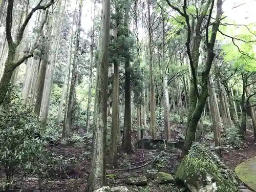 両子寺の庭園