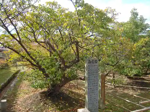 仁和寺の庭園